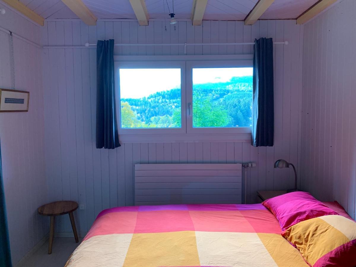 Chalet Ott - Apartment In The Mountains With Sauna Сен-Серг Экстерьер фото